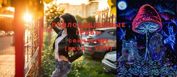 СК Богородицк
