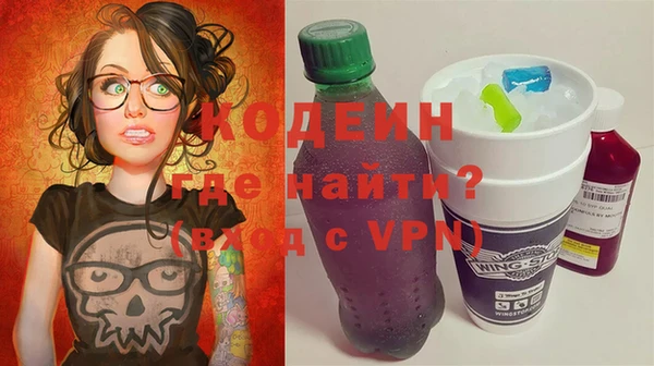 СК Богородицк