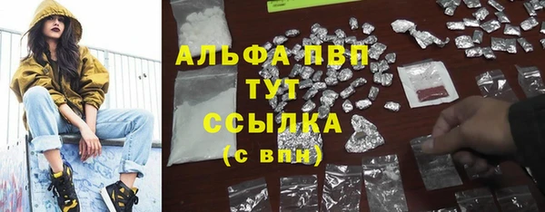 таблы Богданович