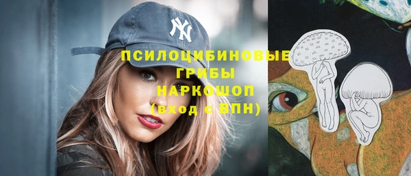 таблы Богданович