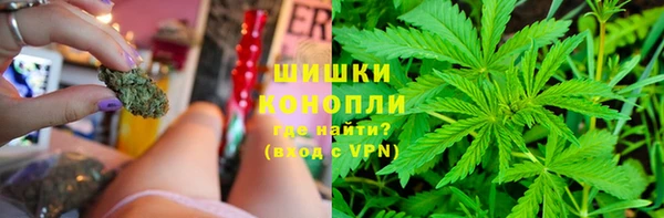 СК Богородицк