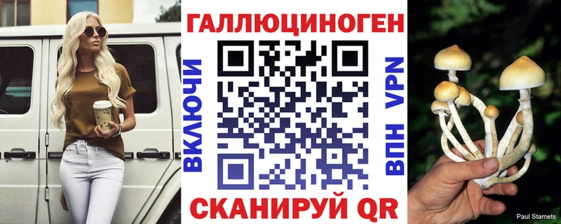 Купить где Глазов Галлюциногенные грибы GOLDEN TEACHER